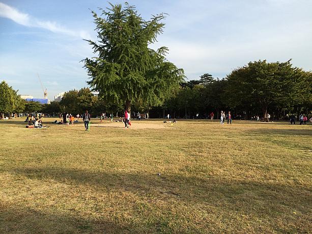 東京の代々木公園を思わせる雰囲気の広場！