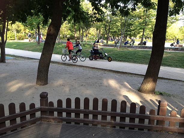 園内は自転車や乗り物が走りやすいように道がはりめぐらされているんです