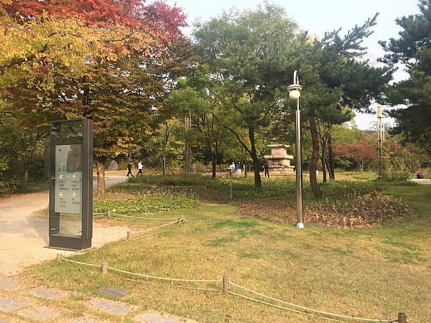 日本人が多く住む二村（イチョン）にある竜山家族公園にやってきました。もう紅葉が始まっています！