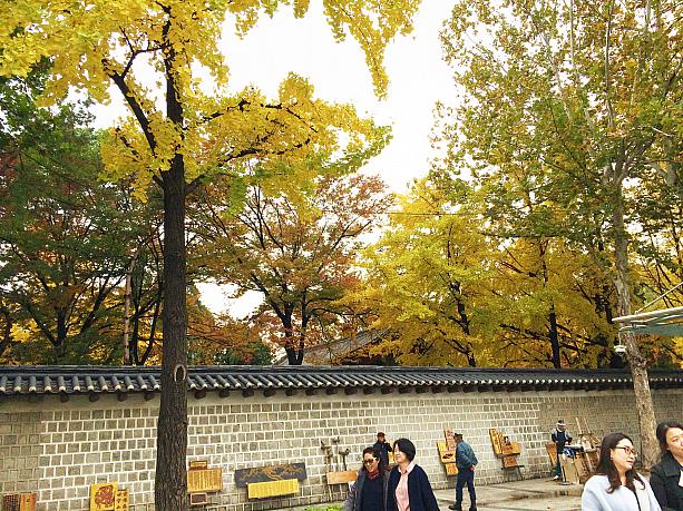 この時期ソウルにいる方には必ず行ってほしいと思うほど素晴らしい徳寿宮の紅葉！