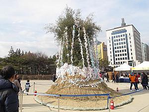 3月のソウル【2026年】 ３月のソウル 春のソウル 三一節ホワイトデー