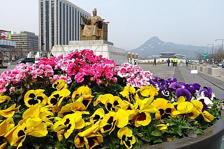 3月のソウル【2026年】 ３月のソウル 春のソウル 三一節ホワイトデー