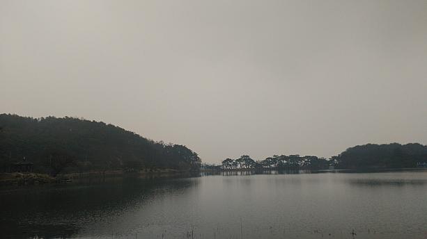 午後は観光バスに乗って堤川のメイン観光地である義林池（ウィリムジ）をぐるりと歩きます。