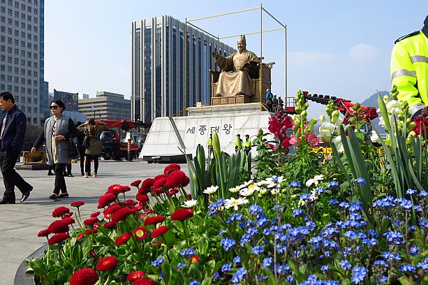 毎年春には花に囲まれる世宗大王、今年は光にも囲まれる予定です！
