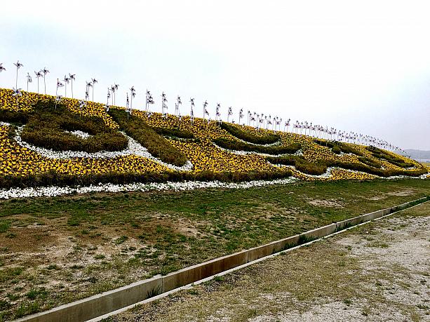 ソウル市内に比べて開花時期が少し遅い永宗島。ソウルでお花が終わっちゃっても、そのあと１～２週間は見ることが出来ますよ～！
