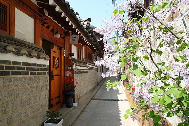 そして北村といえば韓屋（ハノク）。韓国の伝統家屋である韓屋が並ぶ小道がどこまでも続いています。