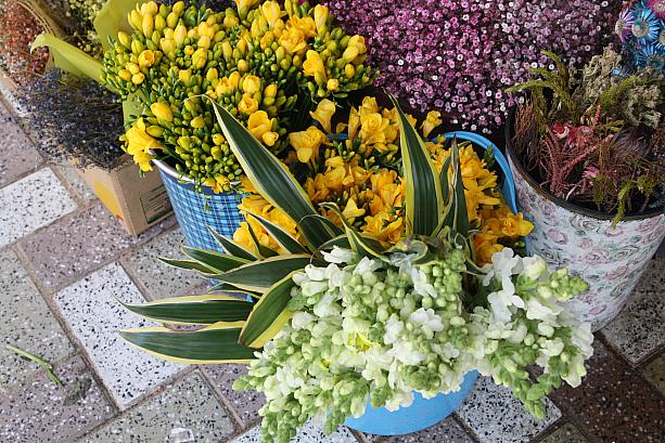春らしい花のフリージアもこちら釜山でも人気！