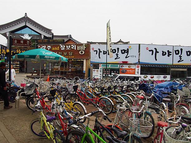 慶州はレンタル自転車で回る観光客も多いのだとか。歴史を巡るそんな旅も楽しそう～！