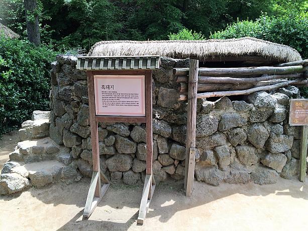 再び「民俗村」エリアへ。こちらは済州島の黒豚を飼うところ。