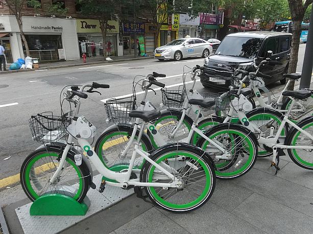 さっそくレンタル用の自転車が並んでいます。緑色の車輪が特徴的？