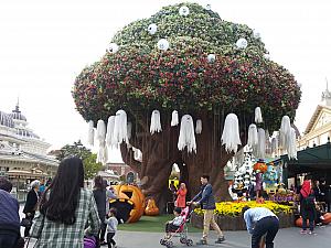 １３ｍの巨大な木、マジックツリーも人気のフォトスポット。