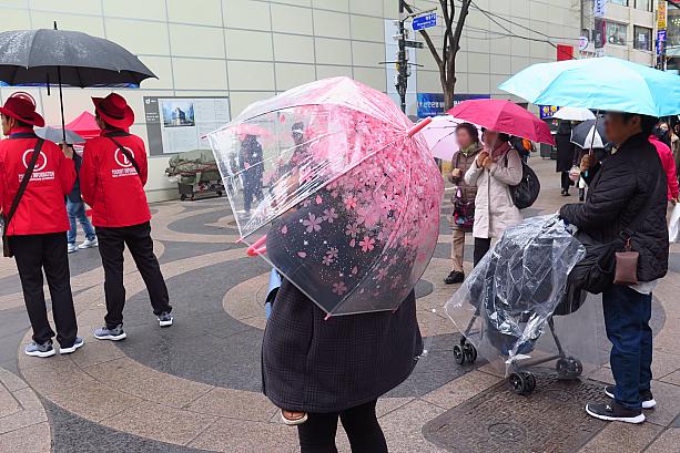 桜の傘。先週も桜ドリンクの話題をお伝えしましたが、今年は今までにないくらい韓国で桜アイテムが注目されているようです。