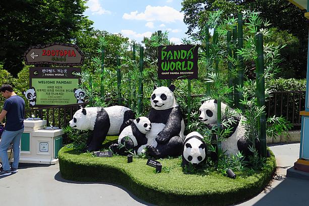 動物園と遊園地が一緒になったこちら。パンダもいるし、車に乗って入るサファリパークもあるんですよ！