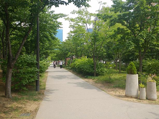 梅雨の中休みにちょっとお出かけ。ここは京義線スッキル（森の道）。新緑がきれいでお散歩には最高です～！