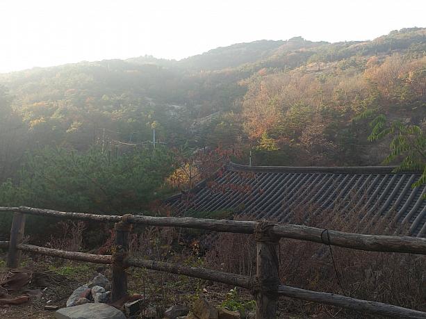 峨嵯（アチャ）山は良い感じに紅葉が進んでいます。