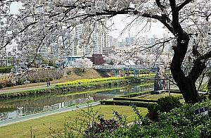 4月に訪れたい釜山の名所