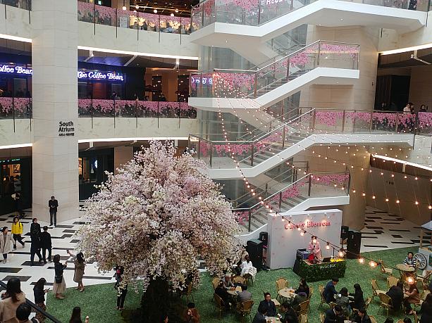 ショッピングモール内でも春を感じることができる！桜がモール内に！！