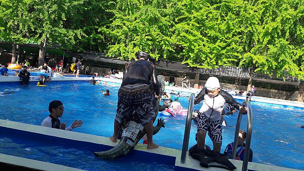 これが韓国スタイルのプール避暑＾＾