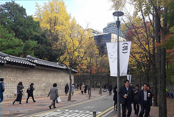ここはソウルの紅葉スポットとして知られる徳寿宮横の石垣通り！
