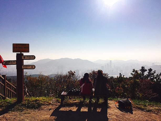 釜山の街で秋を見つけよう！