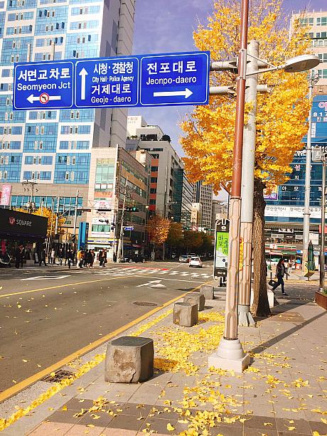 あと１，２週間すると、秋から冬に移行しそうな釜山です～！