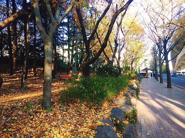 12月となり、釜山の冬ももう目の前！