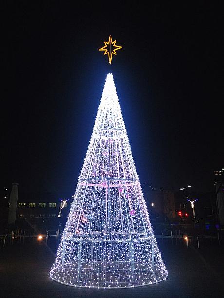 釜山市民公園にもクリスマスイルミネーションが！！