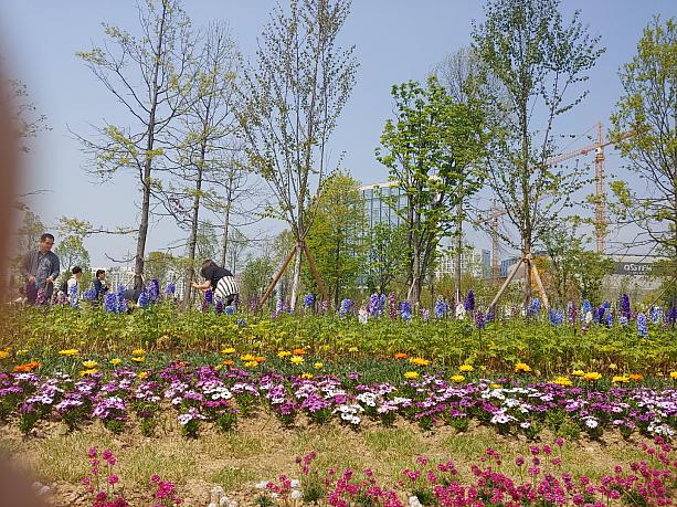 無料で楽しめる公園、そして植物園は大人5000ウォン~