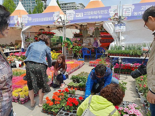 花卉業者の人たちの直売マーケットも開かれていました。