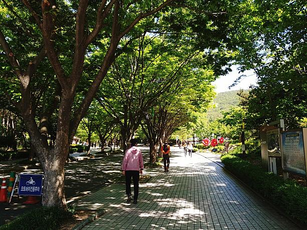 お散歩を楽しむ釜山市民。