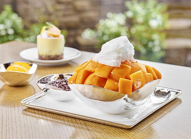 ソウル新羅ホテルの済州産アップルマンゴーかき氷。今年も発売から爆発的な人気！