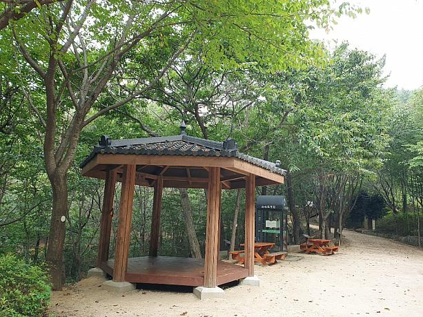 お散歩をすると、釜山はベンチなどがたくさん！！