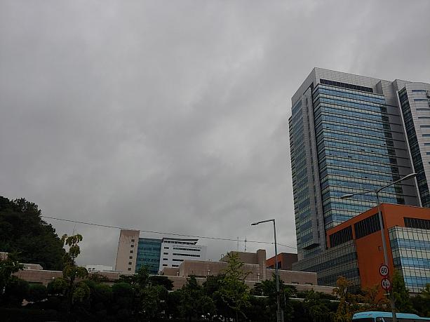 お日様はどこへ？数日、雨が降ったり、やんだりのお天気。