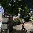 通りすがりの人が買っていくのかも知れませんね～。素朴な風景も共にある蚕室のロッテワールドタワーはソウルの夜景のおすすめの一つです～♪＾＾