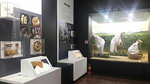 モシの歴史の紹介やモシ織りの展示も。