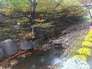 釜山市郊外の穴場紅葉スポット、「長安寺」まで行ってきました～！釜山で紅葉