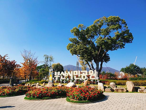 秋を満喫～！釜山市民公園をお散歩！