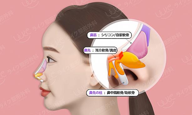 【PR】ライク整形外科の提案する私に似合う鼻の形と高さはどのぐらいだろう？美容外科クリニック