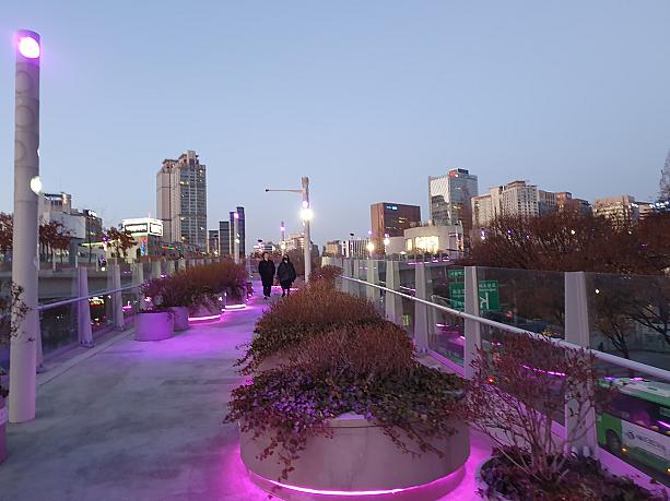 高架の上はもちろん赤紫色にライトアップされてます～