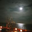 夜の釜山の月～！