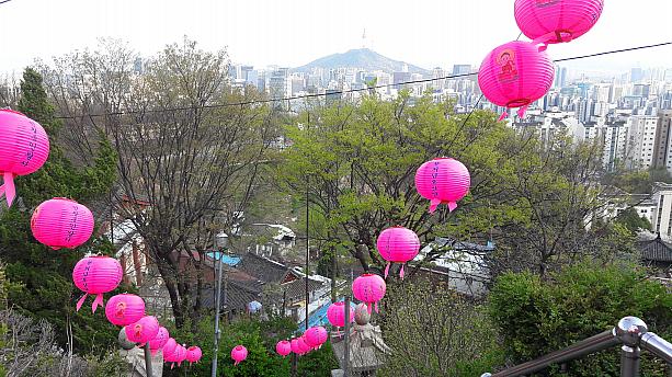 途中、お寺にはピンクの提灯がずらり。そういえば、お釈迦様の誕生日（今年は4月30日）ももうすぐ。