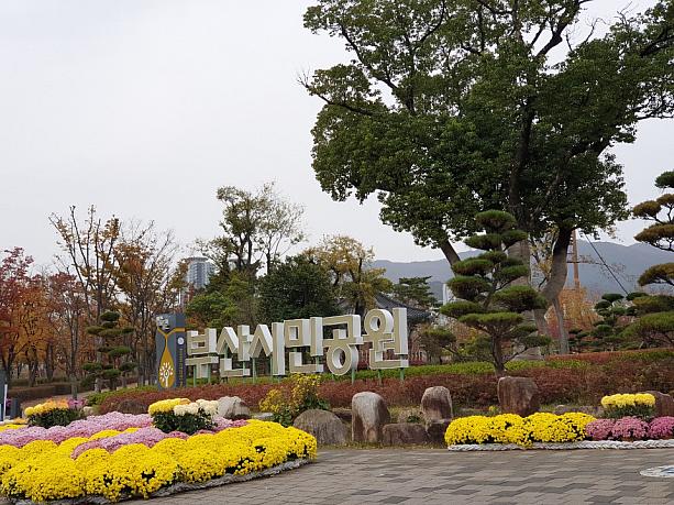 釜山市民公園も秋を楽しめるスポット！