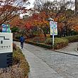 ソウル市立美術館では何の展示をやってるのかな？
