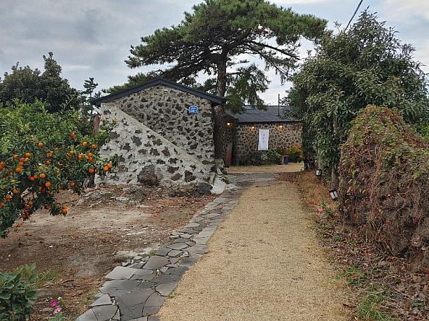 済州島らしい家屋の作りの横にはミカン畑！