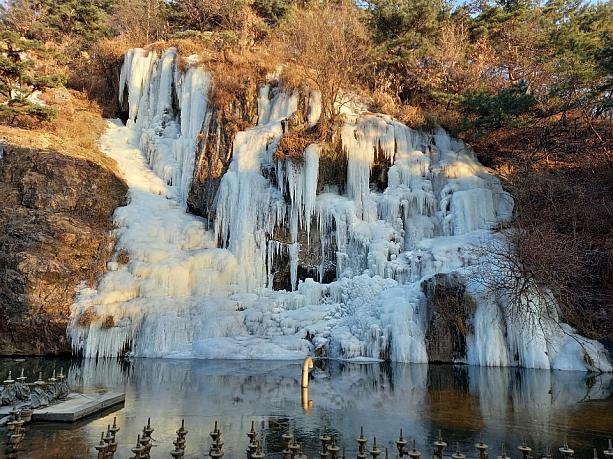 零下が続き、弘済川の人工滝も凍ってます~。