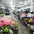 売り場に入ると、季節の花の香りが漂います。