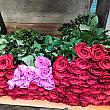 右の薔薇は１０本で５０００ウォン。左の薔薇は１０本で4000ウォン。