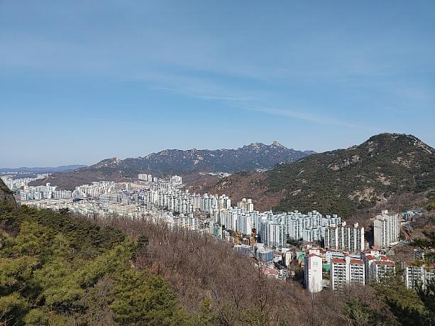ソウルにも春がやってきています！