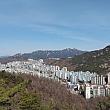 ソウルにも春がやってきています！