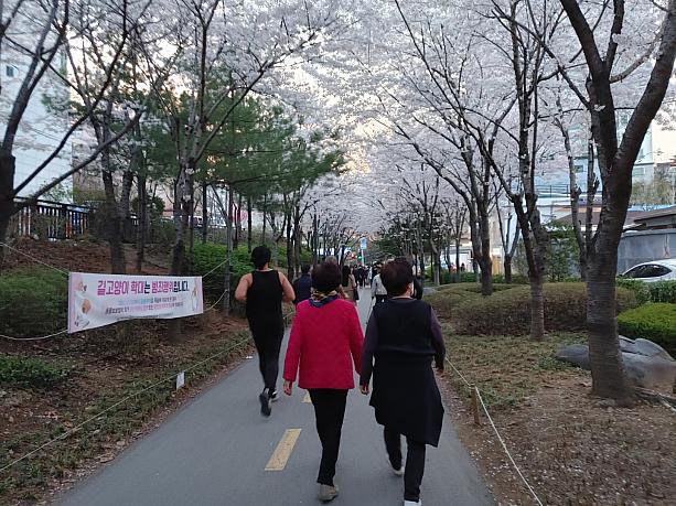 孔徳駅から徒歩数分、桜のアーケードのような散歩道～！